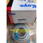 BẠC ĐẠN 203KRR2 KOYO